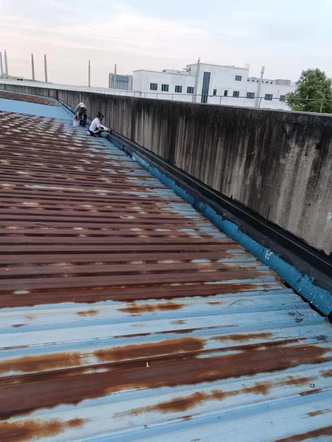 天面防水补漏 滴水不漏 万无一湿 施工一次到位广州