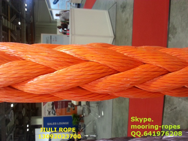EURONEEMA WITH POLYESTER COVER ROPE缆绳