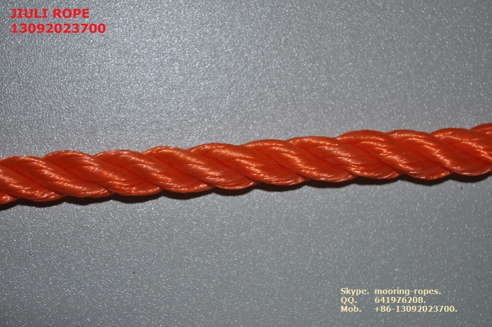 PE  ROPE 缆   绳