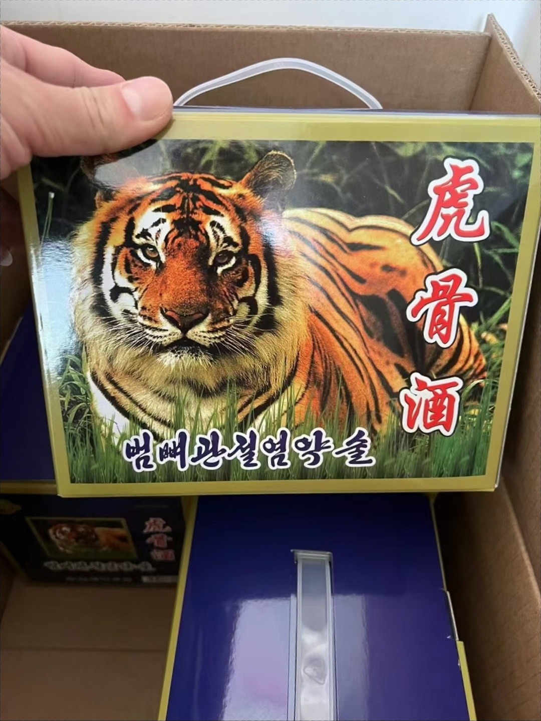 朝鲜平壤朝鲜虎骨酒
