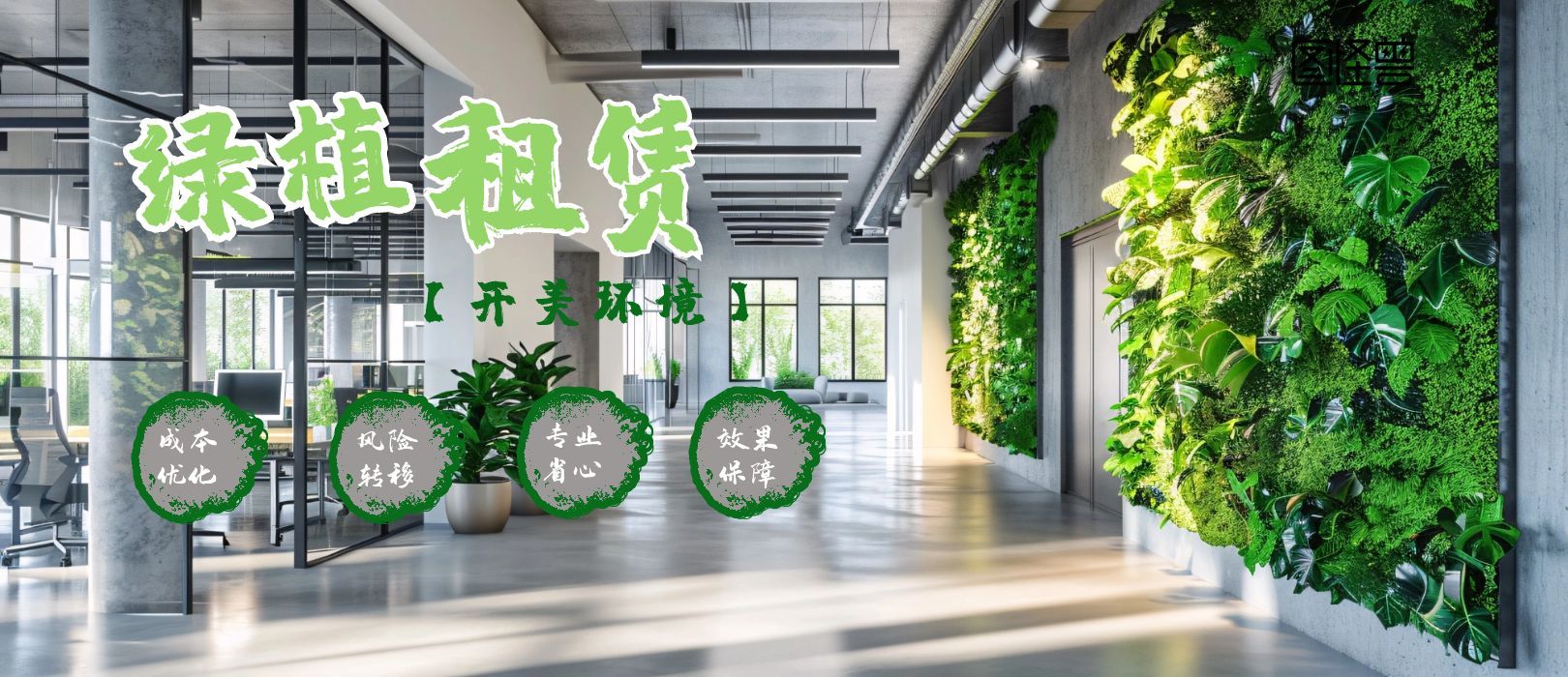 办公室绿植别再乱买了！这4种方案省心又省钱