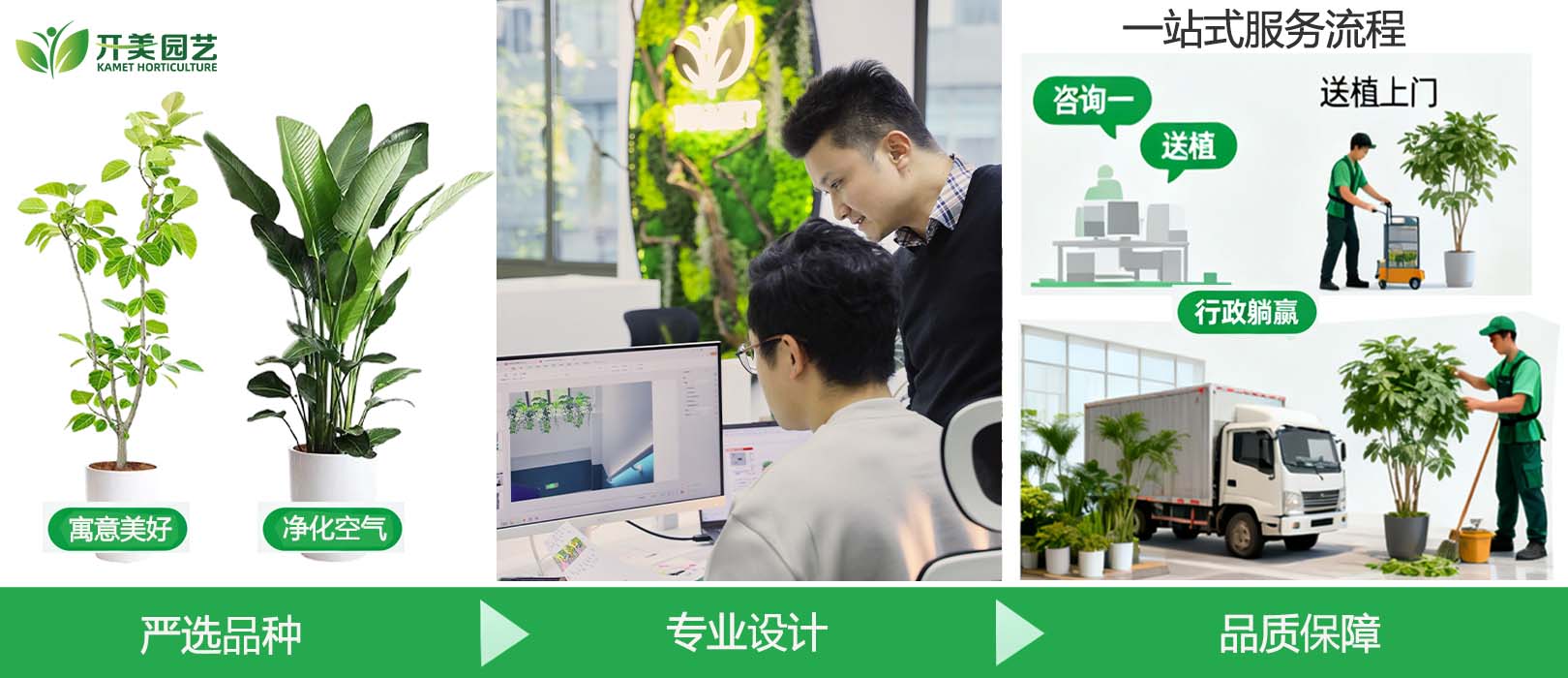 绿植租赁界的奥特莱斯：高端品质，批发价格