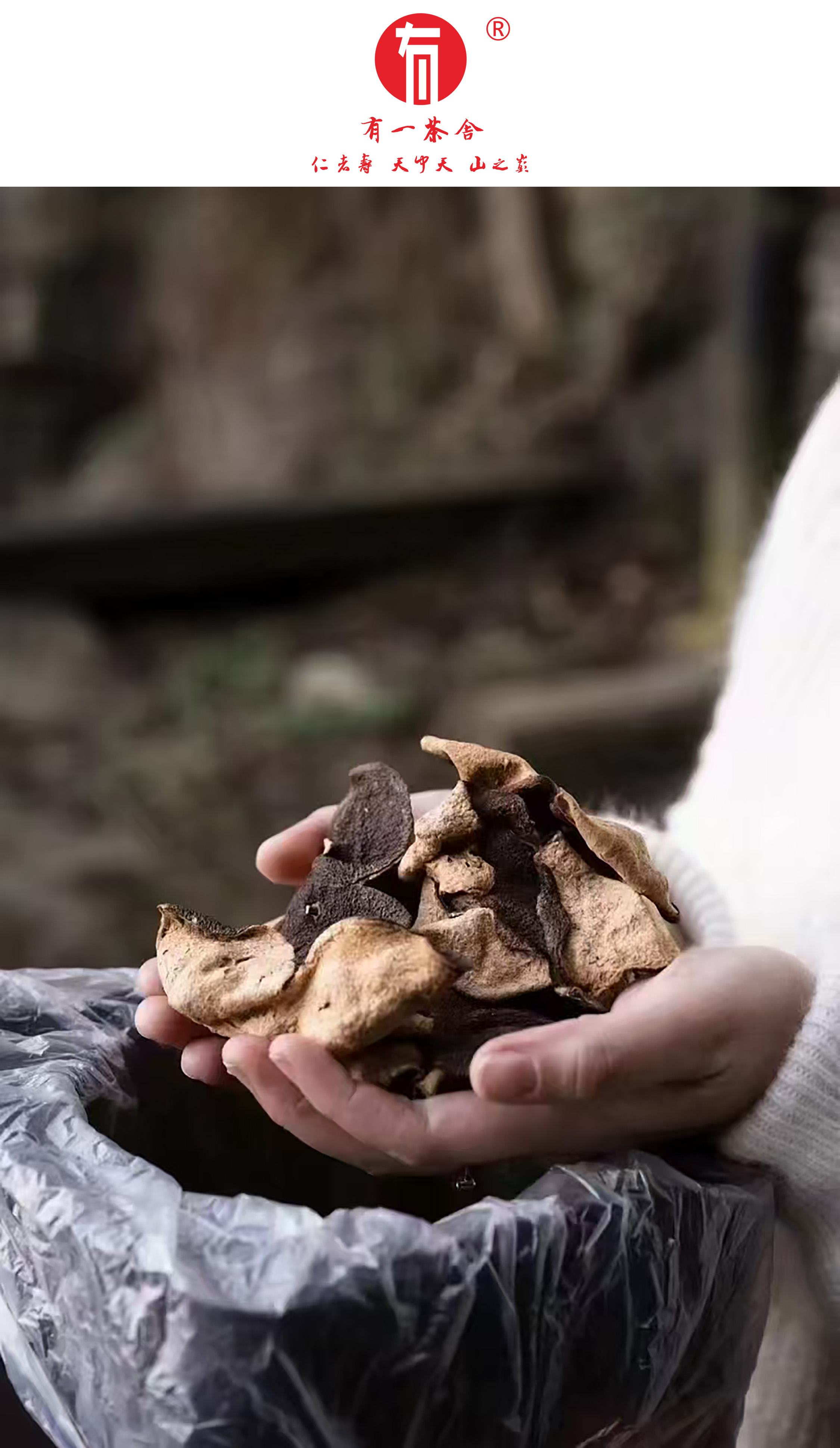 南方茶叶市场的C2M模式有一茶舍如何实现千人千面的极致个性化？