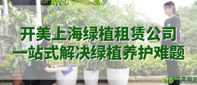 企业办公室绿植如何平稳度过梅雨季?找上海绿植租赁公司省心托管 企业办公室绿植如何平稳度过梅雨季?找上海绿植租赁公司省心托管